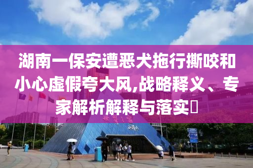 湖南一保安遭惡犬拖行撕咬和小心虛假夸大風(fēng),戰(zhàn)略釋義、專家解析解釋與落實?
