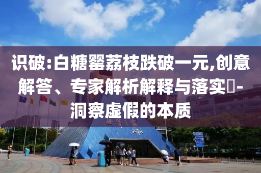 識(shí)破:白糖罌荔枝跌破一元,創(chuàng)意解答、專家解析解釋與落實(shí)?-洞察虛假的本質(zhì)