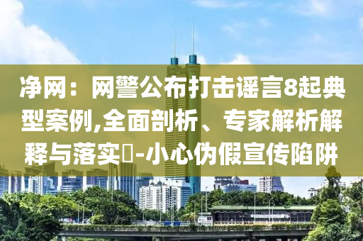 凈網(wǎng)：網(wǎng)警公布打擊謠言8起典型案例,全面剖析、專家解析解釋與落實(shí)?-小心偽假宣傳陷阱