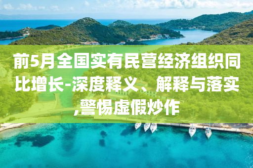 前5月全國實有民營經(jīng)濟組織同比增長-深度釋義、解釋與落實,警惕虛假炒作