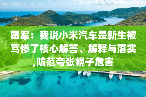 雷軍：我說小米汽車是新生被罵慘了核心解答、解釋與落實,防范夸張幌子危害