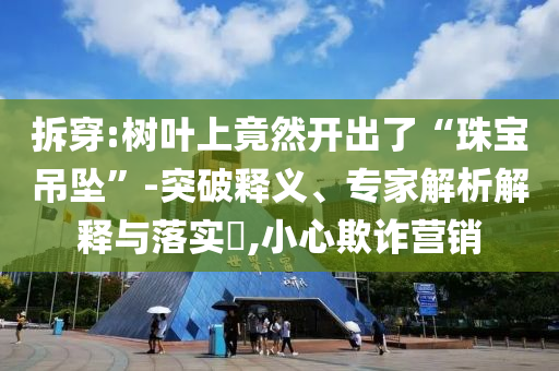 拆穿:樹葉上竟然開出了“珠寶吊墜”-突破釋義、專家解析解釋與落實(shí)?,小心欺詐營(yíng)銷