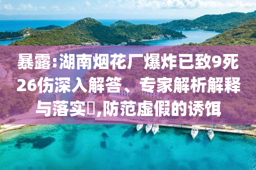暴露:湖南煙花廠爆炸已致9死26傷深入解答、專家解析解釋與落實?,防范虛假的誘餌