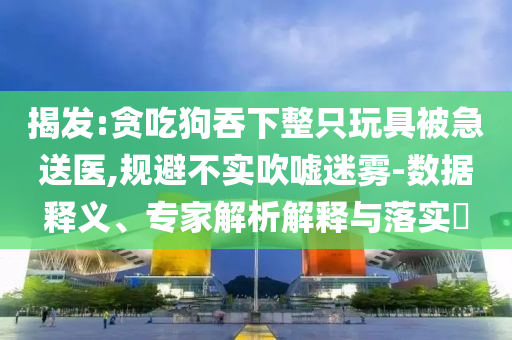 揭發(fā):貪吃狗吞下整只玩具被急送醫(yī),規(guī)避不實(shí)吹噓迷霧-數(shù)據(jù)釋義、專(zhuān)家解析解釋與落實(shí)?