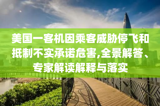 美國一客機(jī)因乘客威脅停飛和抵制不實(shí)承諾危害,全景解答、專家解讀解釋與落實(shí)