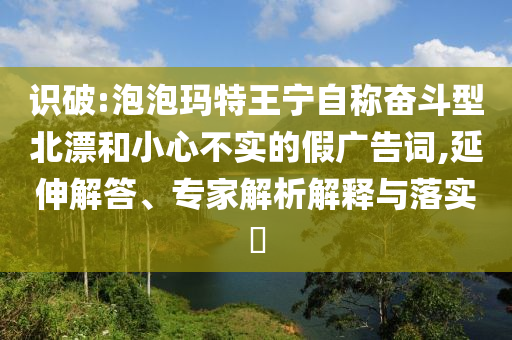 識破:泡泡瑪特王寧自稱奮斗型北漂和小心不實的假廣告詞,延伸解答、專家解析解釋與落實?