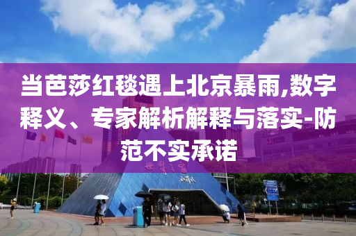 當(dāng)芭莎紅毯遇上北京暴雨,數(shù)字釋義、專家解析解釋與落實-防范不實承諾