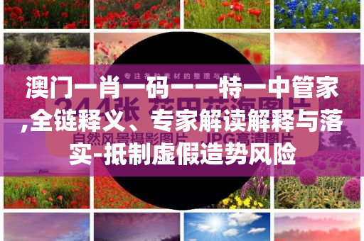 澳门一肖一码一一特一中管家,全链释义、专家解读解释与落实-抵制虚假造势风险