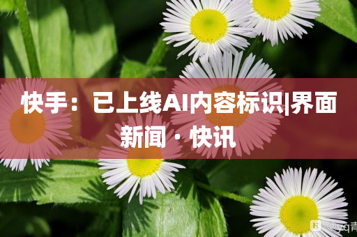 快手：已上线AI内容标识|界面新闻 · 快讯