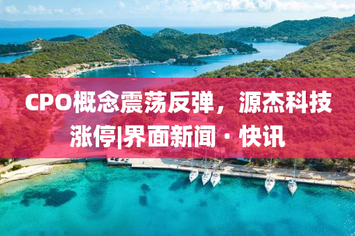 CPO概念震荡反弹，源杰科技涨停|界面新闻 · 快讯