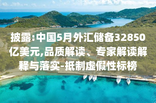 披露:中國5月外匯儲備32850億美元,品質(zhì)解讀、專家解讀解釋與落實-抵制虛假性標(biāo)榜
