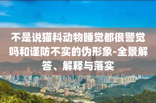 不是說(shuō)貓科動(dòng)物睡覺(jué)都很警覺(jué)嗎和謹(jǐn)防不實(shí)的偽形象-全景解答、解釋與落實(shí)