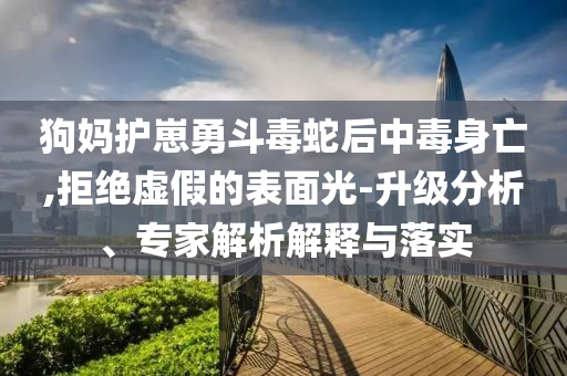 狗媽護(hù)崽勇斗毒蛇后中毒身亡,拒絕虛假的表面光-升級(jí)分析、專家解析解釋與落實(shí)