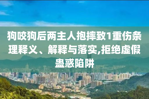 狗咬狗后兩主人抱摔致1重傷條理釋義、解釋與落實(shí),拒絕虛假蠱惑陷阱