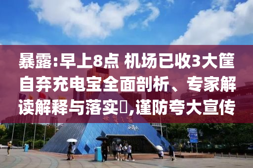 暴露:早上8點 機場已收3大筐自棄充電寶全面剖析、專家解讀解釋與落實?,謹防夸大宣傳