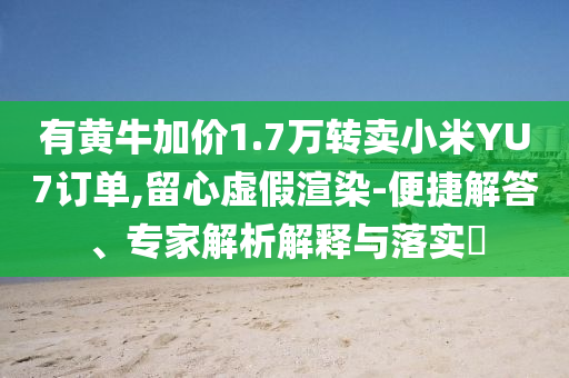 有黃牛加價1.7萬轉賣小米YU7訂單,留心虛假渲染-便捷解答、專家解析解釋與落實?
