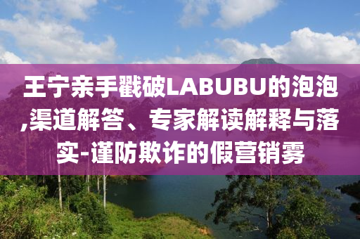 王寧親手戳破LABUBU的泡泡,渠道解答、專家解讀解釋與落實-謹(jǐn)防欺詐的假營銷霧