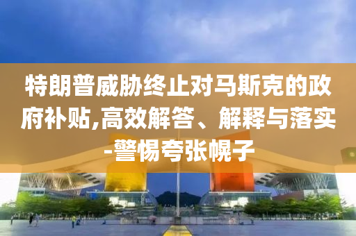 特朗普威脅終止對馬斯克的政府補(bǔ)貼,高效解答、解釋與落實(shí)-警惕夸張幌子