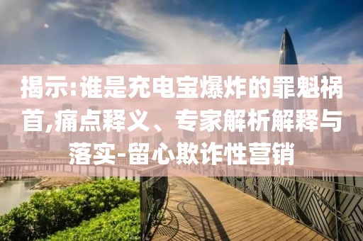 揭示:誰是充電寶爆炸的罪魁禍首,痛點釋義、專家解析解釋與落實-留心欺詐性營銷