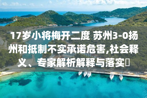 17歲小將梅開(kāi)二度 蘇州3-0揚(yáng)州和抵制不實(shí)承諾危害,社會(huì)釋義、專(zhuān)家解析解釋與落實(shí)?