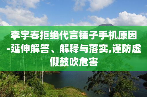 李宇春拒絕代言錘子手機(jī)原因-延伸解答、解釋與落實(shí),謹(jǐn)防虛假鼓吹危害