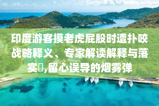 印度游客摸老虎屁股時遭撲咬戰(zhàn)略釋義、專家解讀解釋與落實(shí)?,留心誤導(dǎo)的煙霧彈