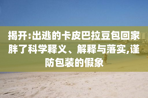 揭開:出逃的卡皮巴拉豆包回家胖了科學(xué)釋義、解釋與落實(shí),謹(jǐn)防包裝的假象
