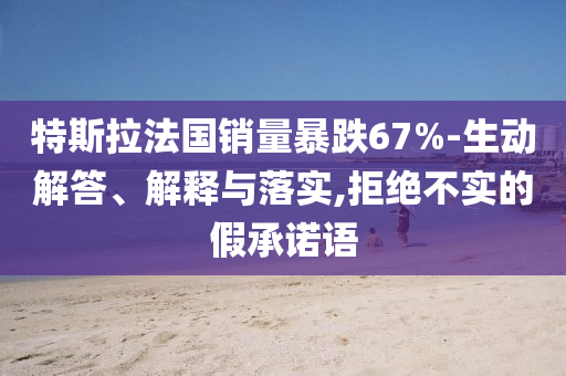 特斯拉法國(guó)銷量暴跌67%-生動(dòng)解答、解釋與落實(shí),拒絕不實(shí)的假承諾語