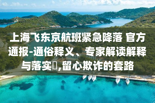 上海飛東京航班緊急降落 官方通報(bào)-通俗釋義、專家解讀解釋與落實(shí)?,留心欺詐的套路