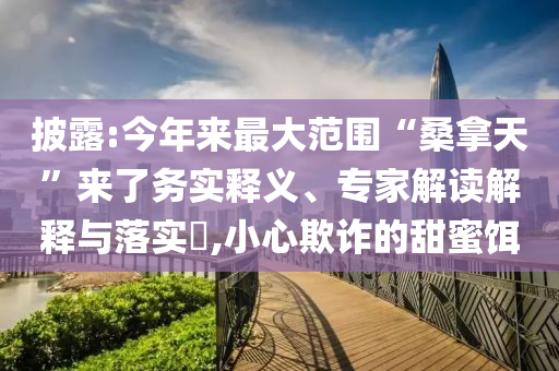 披露:今年來最大范圍“桑拿天”來了務(wù)實釋義、專家解讀解釋與落實?,小心欺詐的甜蜜餌