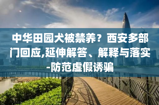 中華田園犬被禁養(yǎng)？西安多部門回應(yīng),延伸解答、解釋與落實(shí)-防范虛假誘騙