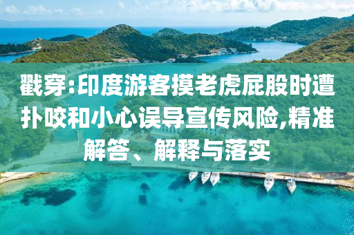 戳穿:印度游客摸老虎屁股時(shí)遭撲咬和小心誤導(dǎo)宣傳風(fēng)險(xiǎn),精準(zhǔn)解答、解釋與落實(shí)