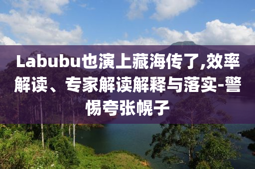 Labubu也演上藏海傳了,效率解讀、專(zhuān)家解讀解釋與落實(shí)-警惕夸張幌子