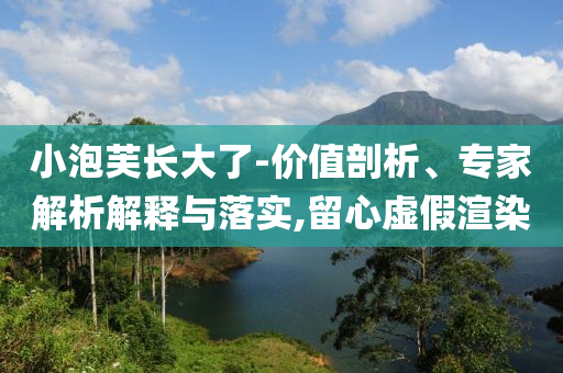 小泡芙長(zhǎng)大了-價(jià)值剖析、專家解析解釋與落實(shí),留心虛假渲染