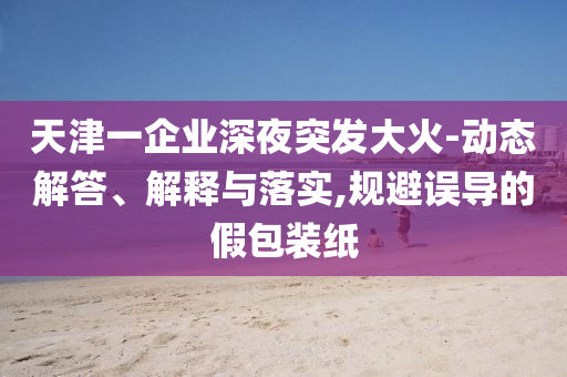 天津一企業(yè)深夜突發(fā)大火-動(dòng)態(tài)解答、解釋與落實(shí),規(guī)避誤導(dǎo)的假包裝紙