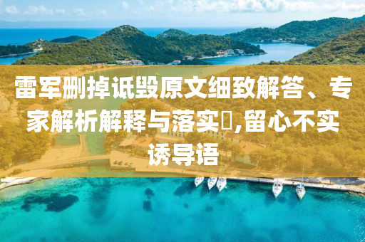 雷軍刪掉詆毀原文細(xì)致解答、專家解析解釋與落實(shí)?,留心不實(shí)誘導(dǎo)語