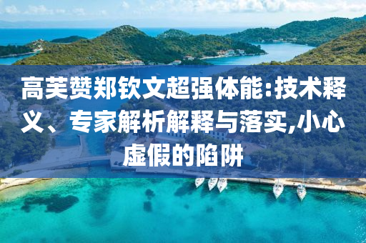 高芙贊鄭欽文超強(qiáng)體能:技術(shù)釋義、專家解析解釋與落實(shí),小心虛假的陷阱