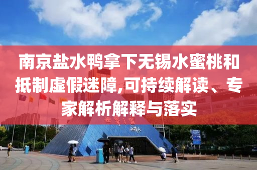 南京鹽水鴨拿下無錫水蜜桃和抵制虛假迷障,可持續(xù)解讀、專家解析解釋與落實