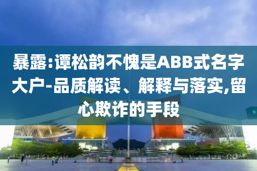 暴露:譚松韻不愧是ABB式名字大戶-品質(zhì)解讀、解釋與落實(shí),留心欺詐的手段