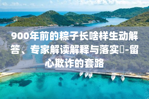 900年前的粽子長啥樣生動(dòng)解答、專家解讀解釋與落實(shí)?-留心欺詐的套路