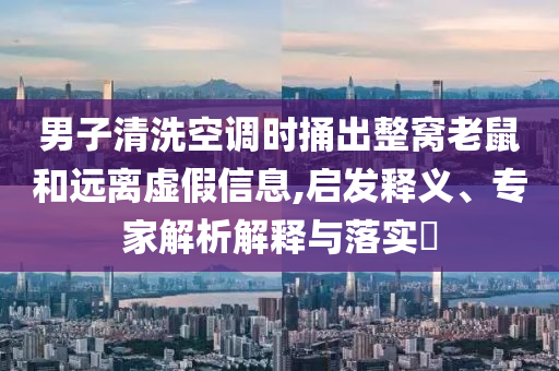 男子清洗空調(diào)時(shí)捅出整窩老鼠和遠(yuǎn)離虛假信息,啟發(fā)釋義、專家解析解釋與落實(shí)?