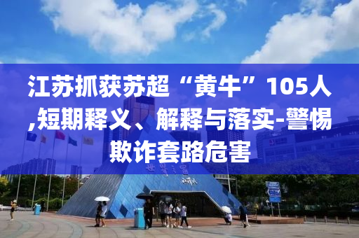 江蘇抓獲蘇超“黃?！?05人,短期釋義、解釋與落實(shí)-警惕欺詐套路危害