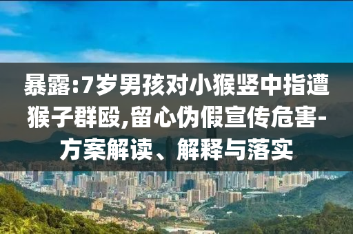 暴露:7歲男孩對小猴豎中指遭猴子群毆,留心偽假宣傳危害-方案解讀、解釋與落實