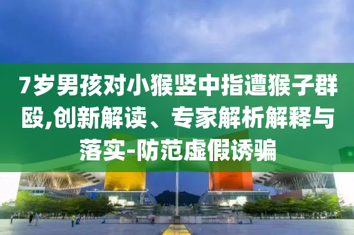 7歲男孩對小猴豎中指遭猴子群毆,創(chuàng)新解讀、專家解析解釋與落實-防范虛假誘騙