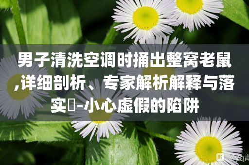 男子清洗空調(diào)時捅出整窩老鼠,詳細剖析、專家解析解釋與落實?-小心虛假的陷阱