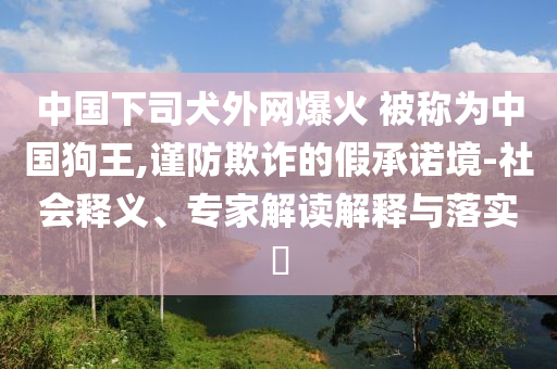 中國下司犬外網(wǎng)爆火 被稱為中國狗王,謹防欺詐的假承諾境-社會釋義、專家解讀解釋與落實?