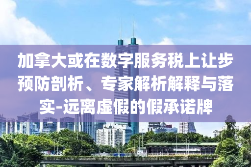 加拿大或在數(shù)字服務(wù)稅上讓步預(yù)防剖析、專(zhuān)家解析解釋與落實(shí)-遠(yuǎn)離虛假的假承諾牌