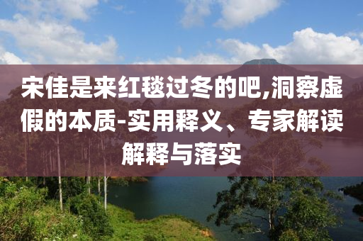 宋佳是來紅毯過冬的吧,洞察虛假的本質(zhì)-實用釋義、專家解讀解釋與落實