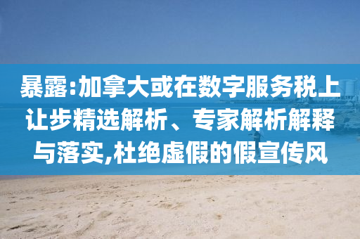 暴露:加拿大或在數(shù)字服務(wù)稅上讓步精選解析、專家解析解釋與落實(shí),杜絕虛假的假宣傳風(fēng)