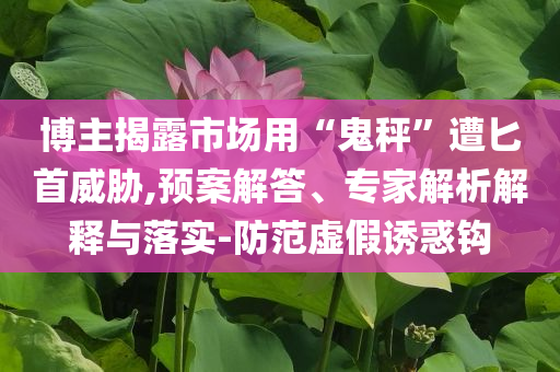博主揭露市場用“鬼秤”遭匕首威脅,預(yù)案解答、專家解析解釋與落實-防范虛假誘惑鉤